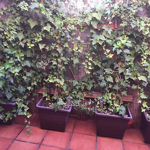 Bonito Piso Centro De Boliches Apartamento